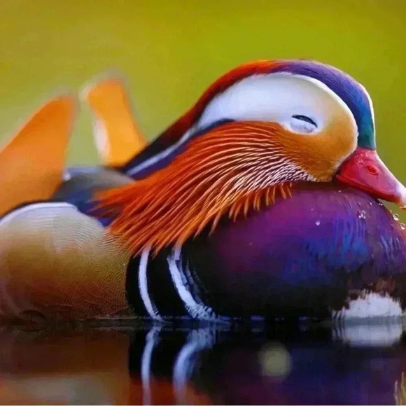 ✅➕size Women’s Dark  Grey Jeans - Picture 5 of 9